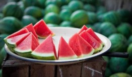 吃瓜资源群免费,免费畅享娱乐盛宴的秘密通道