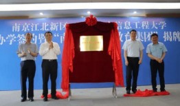 重泉版本搬砖爆料最新消息,揭秘最新搬砖攻略与收益