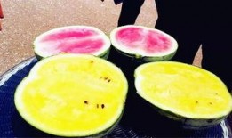 最新吃瓜爆料河南,揭秘背后惊人真相